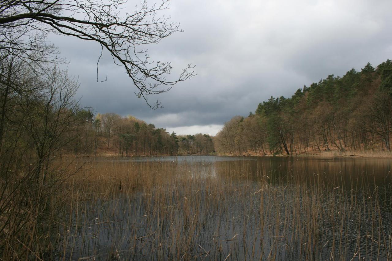 Ustronie Lesne 2 Villa Wiselka Bagian luar foto