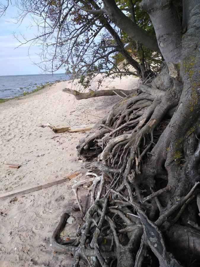 Ustronie Lesne 2 Villa Wiselka Bagian luar foto