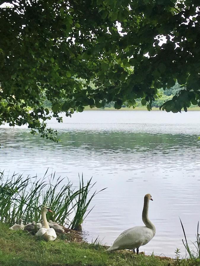 Ustronie Lesne 2 Villa Wiselka Bagian luar foto